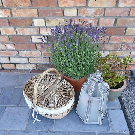 Tasteful Holiday Home In Sijsele Brugge With Garden Veldhoek Ngoại thất bức ảnh