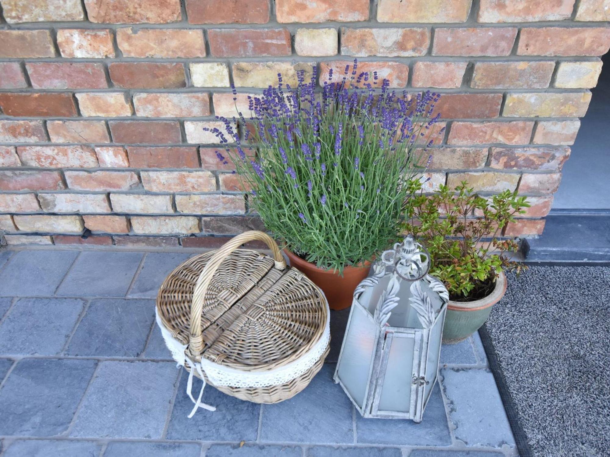 Tasteful Holiday Home In Sijsele Brugge With Garden Veldhoek Ngoại thất bức ảnh
